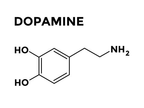 Dopamine structural chemical formula vector