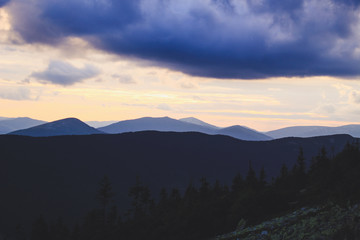 Fototapeta premium Ukrainian Carpathian Mountains. Hills and mountain peaks. Fabulous look.