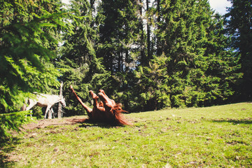 A herd of wild horses in the mountains. Ukrainian Carpathian Mountains. Hills and mountain peaks. Fabulous look.
