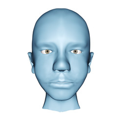 3d human head illustraiton front view