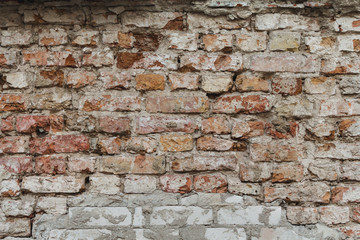 Tost brick wall texture - Stock image
