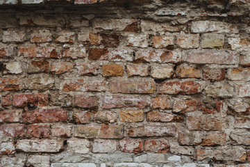 Old brick wall texture - Stock image