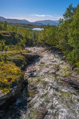 Rapid stream in mountain landscape.