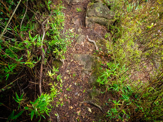 Obraz premium OLYMPUS DIGITAL CAMERA