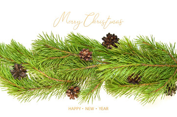 Merry Christmas and Happy New Year. Branch of Christmas tree on white background.