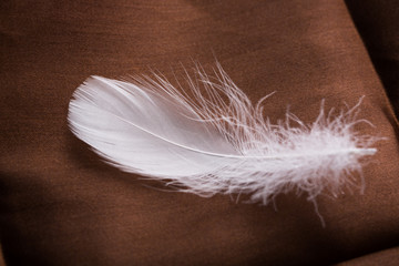 White feathers on brown cloth. Closeup