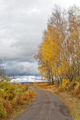 Fototapeta premium Route de campagne en automne