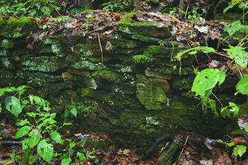 An old stone wall in the woods is overgrown and decaying. Moss and leaves cover the stacked stones.  Autumn.  Horizontal image.