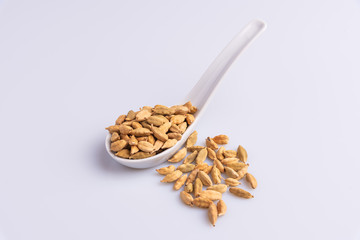 Dry Cardamom pod in a stone mortar, isolated on white background, latin term Elettaria cardamomum,  with copy space, angle view, soft light. 