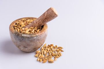 Dry Cardamom pod in a stone mortar, isolated on white background, latin term Elettaria cardamomum,  with copy space, angle view, soft light. 