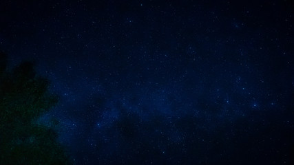 Fototapeta premium landscape and star concept from beautiful movement of star and milky way with blue background and tree foreground on autumn season