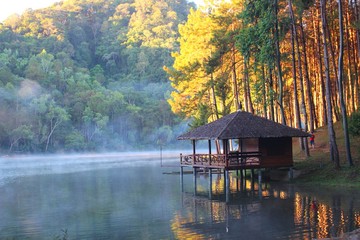 Fototapeta premium Wood house beside the lake in pine forest.