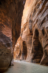 licht- und schattenspiel im Zion Narrows canyon mit Fluss, Zion National Park, USA 
