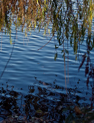 .... einfach abhängen...