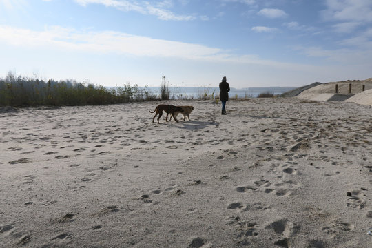 frau mann eingemummelt l&auml;uft gassi mit 2 hunden im winter kalten herbst 