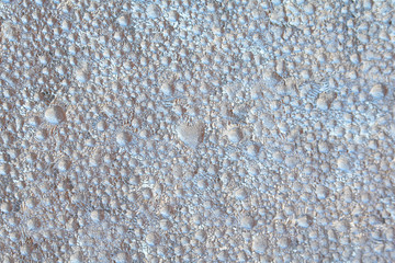 Frosty drawings on the window, frost, background