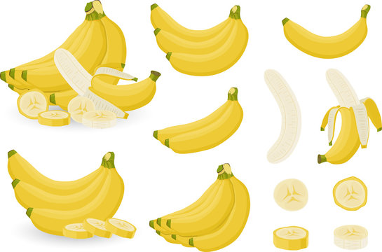 Bright vector set of bunches of fresh banana and slices of bananas. Sweet Yellow cartoon single, peeled banana and bunch of bananas isolated on white background.