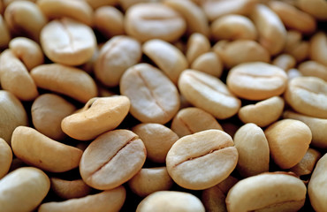 Heap of unroasted coffee beans with selective focus and blurred background 
