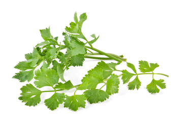 Fresh celery isolated on white background