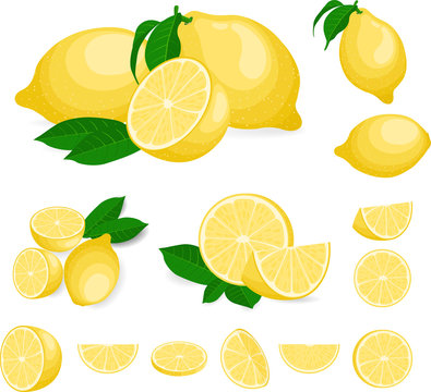 Fresh lemon fruits, collection of vector illustrations