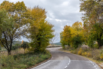 Autumn colors in the leaves of the trees in La Pedriza, in the Regional Park of the Manzanares of Madrid