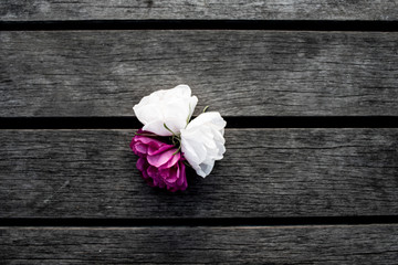  Deux roses blanches et une pourpre sur une vieille table en bois
