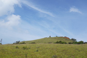 Obraz premium Nature Photography