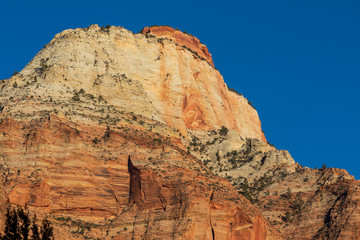 Scenic Zion National Park Utah Landscape