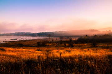 Obraz na płótnie Canvas meadow in fog