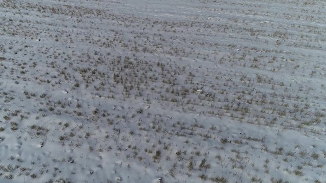 Delicious winter landscape from Above