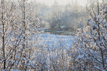 Winter landscape. Belarusian winter. The first frost on the trees in Sunny weather.
