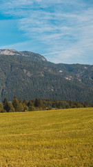 Smartphone HD wallpaper of beautiful alpine landscape at Leogang - Salzburg - Austria