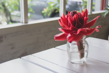Red torch ginger flower in bottle glass decorated on wood table in home