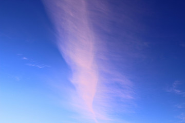 Thin cirrus clouds. Vertical view. Background. Landscape.