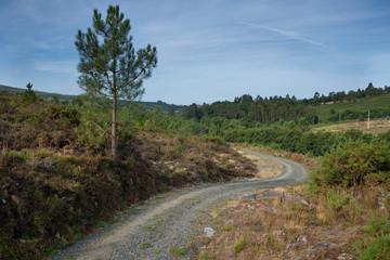 Fototapeta na wymiar Camino de Santiago, Galicia, Spain
