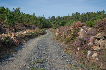 Camino de Santiago, Galicia, Spain