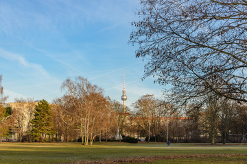 Obraz premium Outdoor scenery inside Tiergartens park in Winter season with sunny sky and background of Berliner Fernsehturm, Television tower, in Berlin, Germany.