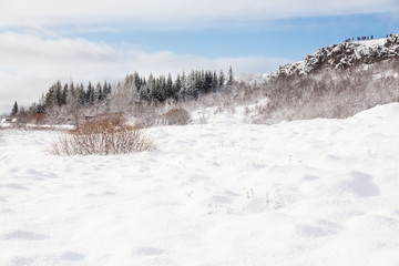 Thingvellir National Park or better known as Iceland pingvellir National Park during winter