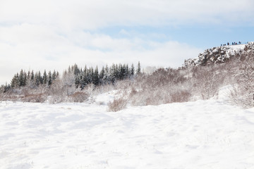 Thingvellir National Park or better known as Iceland pingvellir National Park during winter