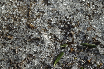 Fragments of glass on the asphalt