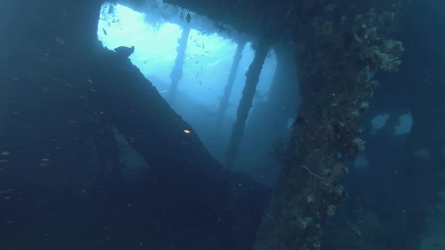 Inside the shipwreck USAT Liberty - Bali, Oceania, Indonesia