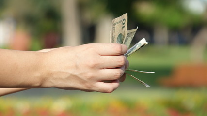 Hand Counting Dollar Bills