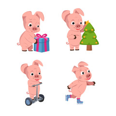 Christmas set of cute little pigs with a gift, christmas tree and skates .