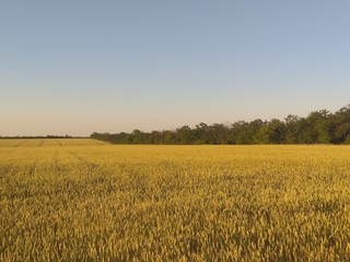 Дышать ветром