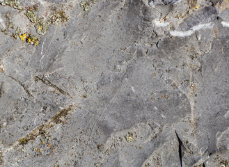 Raue Steinstruktur mit gelben Moos