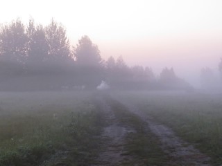 Fototapeta na wymiar Road with Sun Beam in Beautiful Nature Wild Landscape Sunrise with Foggy Mist