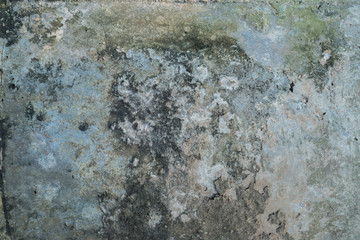 The old concrete floor.
