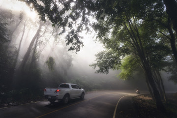 road trip at misty forest
