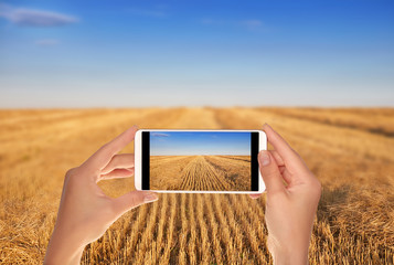 A man is taking a photo of the field of cereals after harvesting on a clear sunny evening on a...
