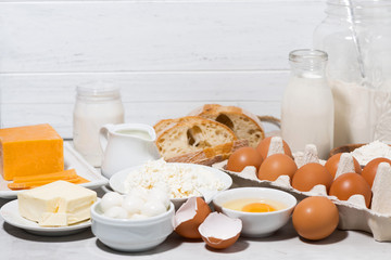assortment of fresh dairy products on white table